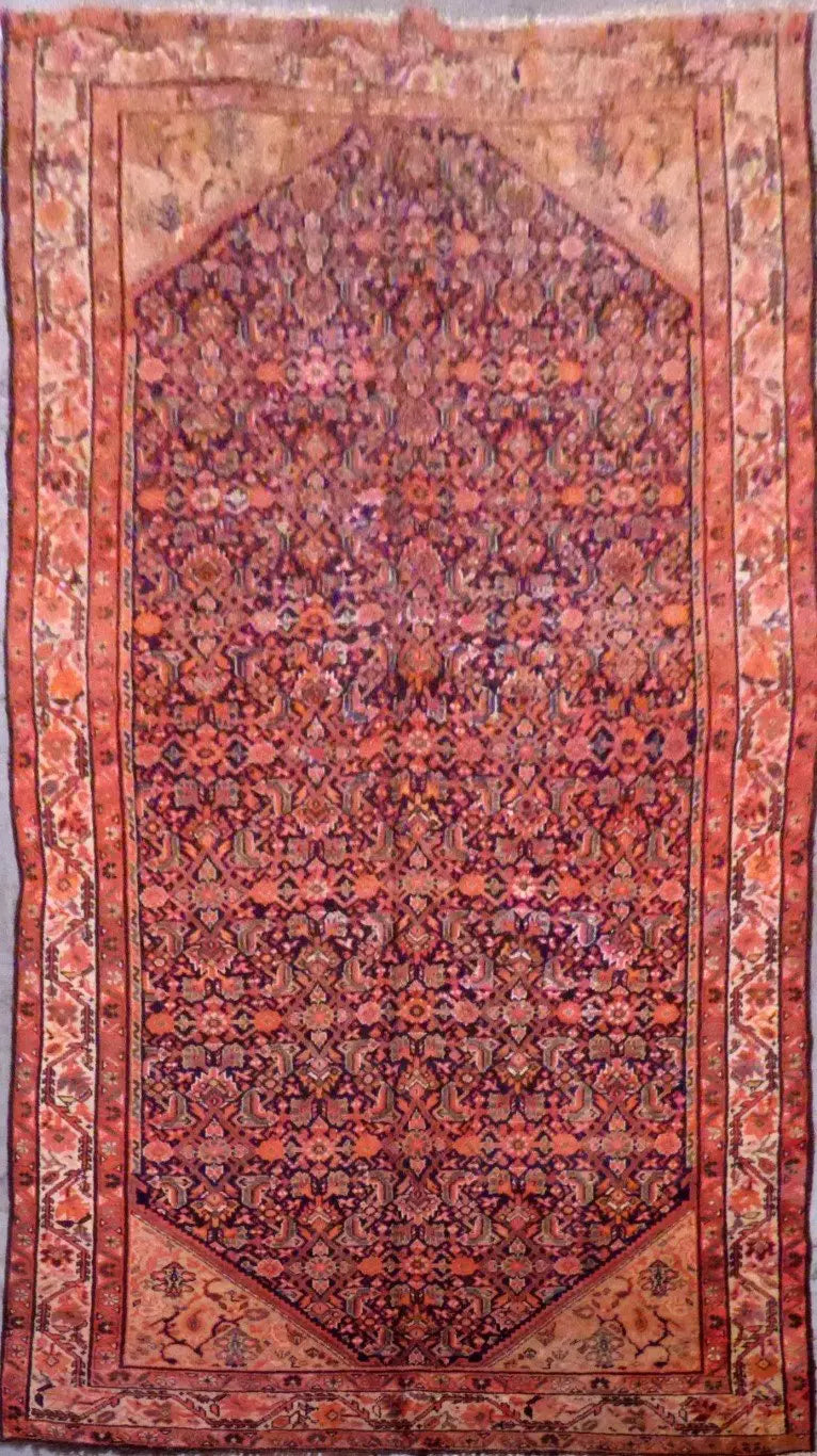 P1100175 Medium 0eda67aa f92f 4f88 a990 398e26a88d39